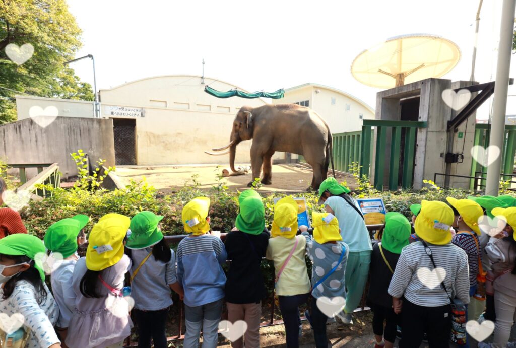 秋の遠足 | GreenHouse新大阪園(グリーンハウス)|STEAM教育を実践する保育園